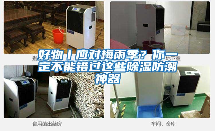 好物丨應(yīng)對梅雨季？你一定不能錯過這些除濕防潮神器