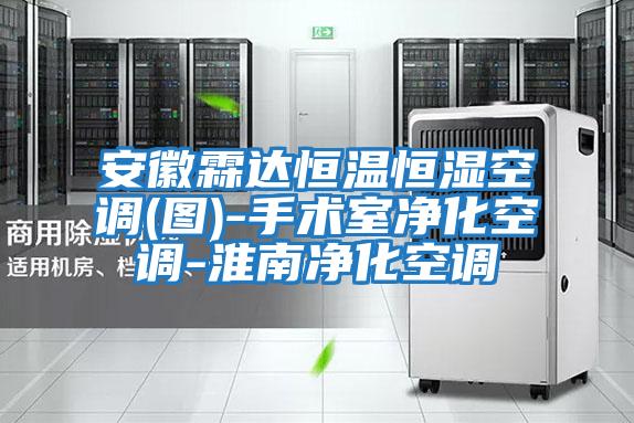 安徽霖達恒溫恒濕空調(diào)(圖)-手術(shù)室凈化空調(diào)-淮南凈化空調(diào)