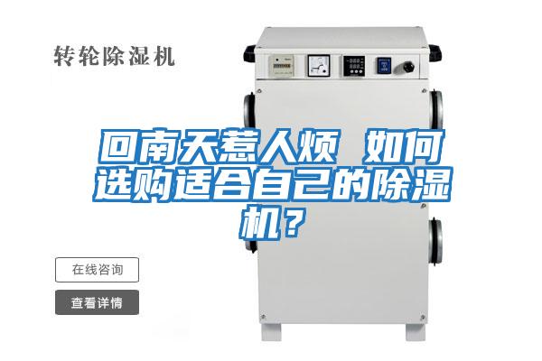 回南天惹人煩 如何選購適合自己的除濕機?