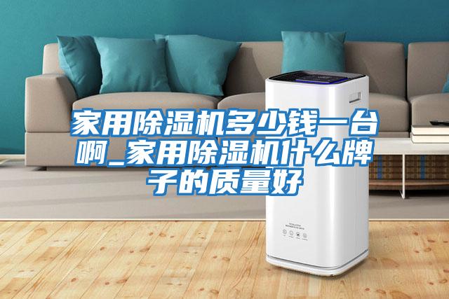 家用除濕機(jī)多少錢一臺(tái)啊_家用除濕機(jī)什么牌子的質(zhì)量好