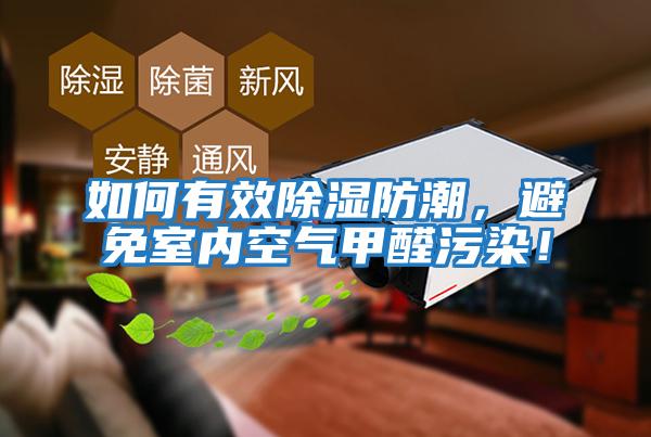 如何有效除濕防潮，避免室內空氣甲醛污染！
