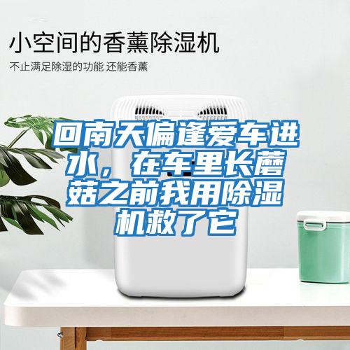 回南天偏逢愛車進水，在車里長蘑菇之前我用除濕機救了它