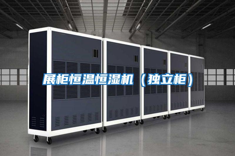 展柜恒溫恒濕機(jī)（獨立柜）
