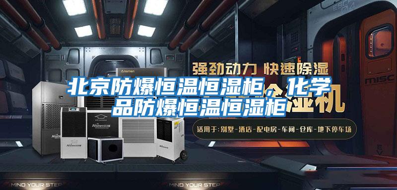 北京防爆恒溫恒濕柜，化學品防爆恒溫恒濕柜
