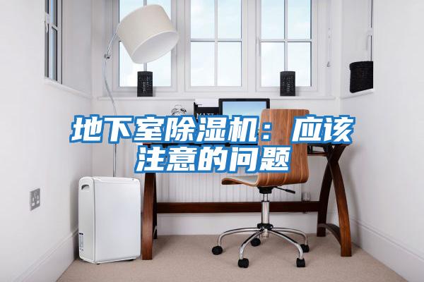 地下室除濕機:應該注意的問題