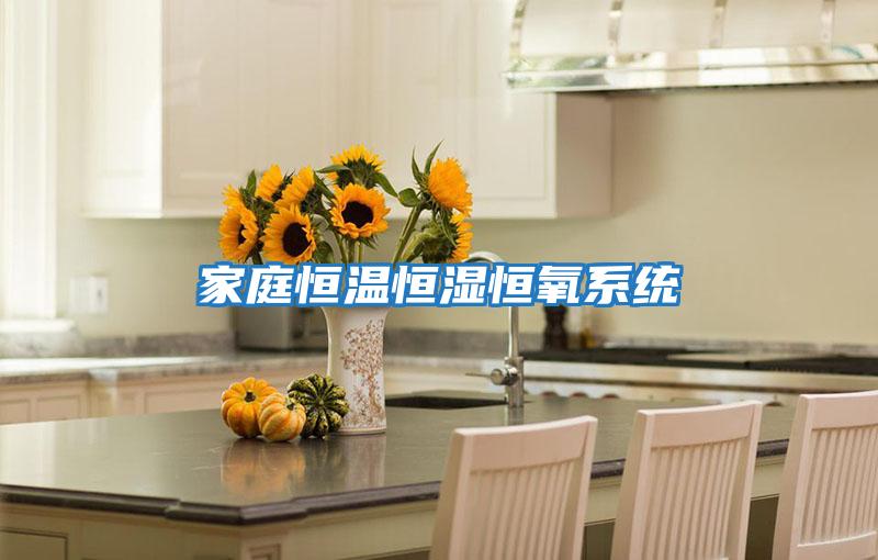 家庭恒溫恒濕恒氧系統