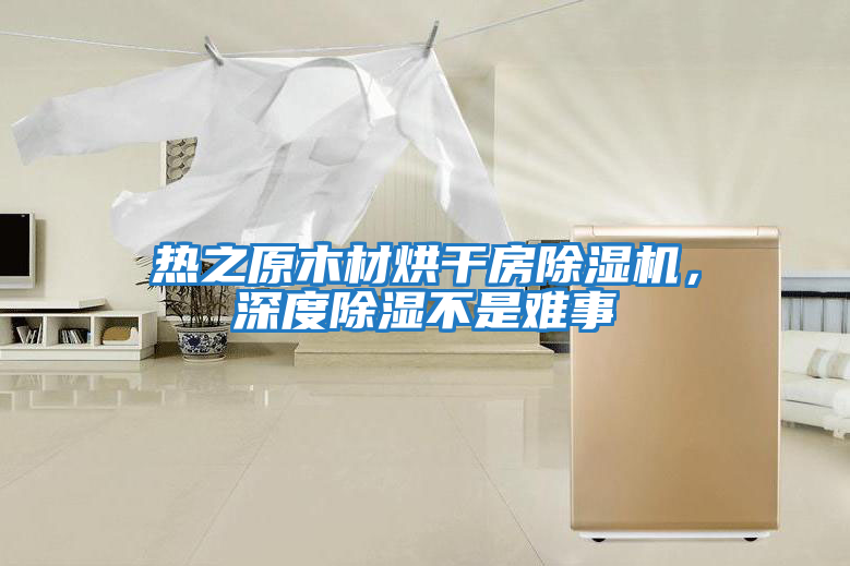 熱之原木材烘干房除濕機，深度除濕不是難事