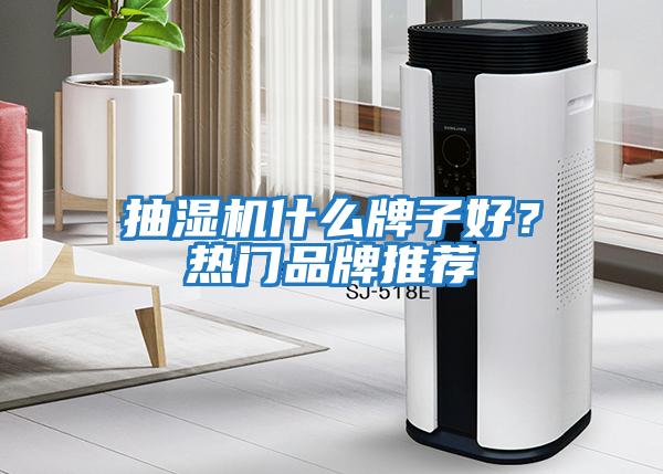 抽濕機什么牌子好?熱門品牌推薦