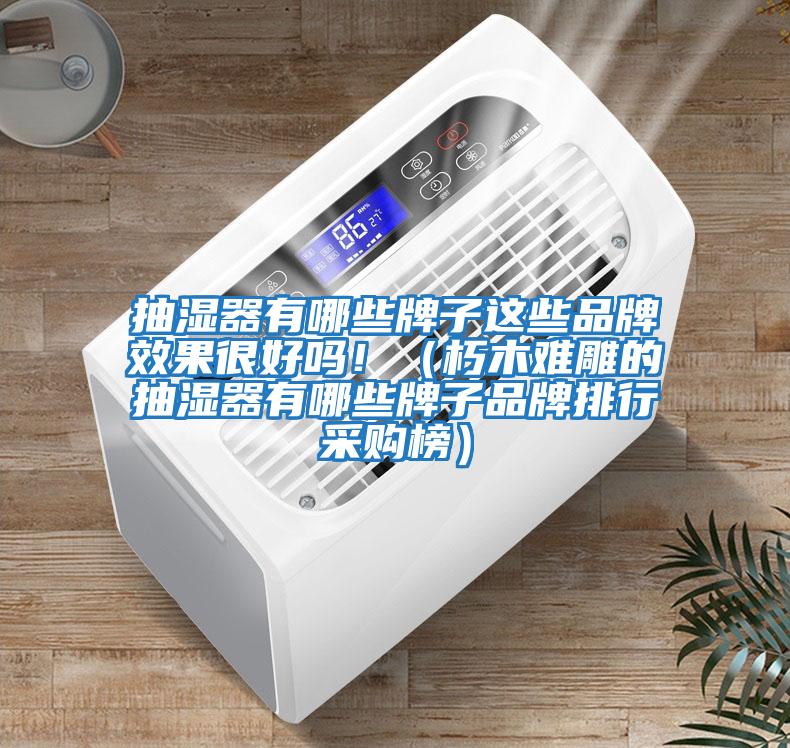 抽濕器有哪些牌子這些品牌效果很好嗎?。ㄐ嗄倦y雕的抽濕器有哪些牌子品牌排行采購榜）