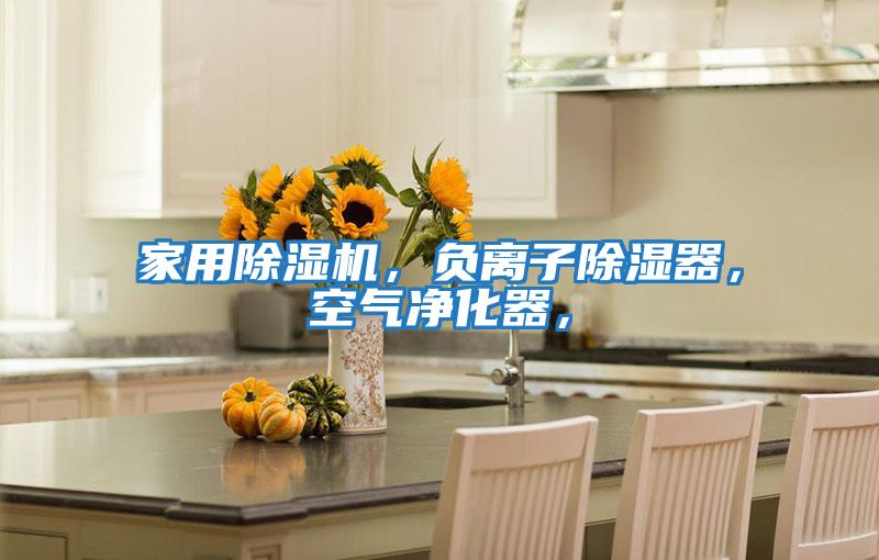 家用除濕機(jī)，負(fù)離子除濕器，空氣凈化器，