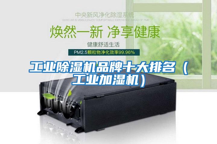 工業(yè)除濕機(jī)品牌十大排名(工業(yè)加濕機(jī))