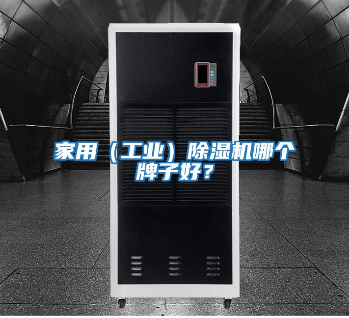 家用（工業）除濕機哪個牌子好？