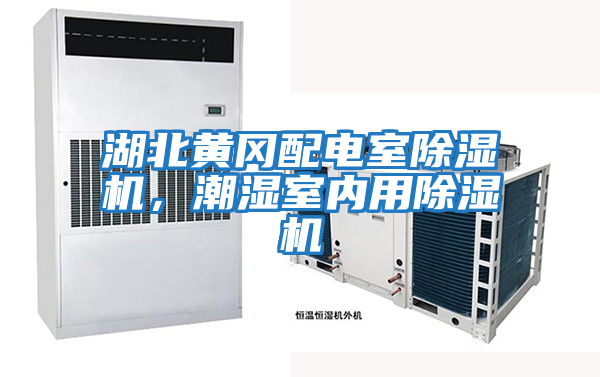 湖北黃岡配電室除濕機,潮濕室內用除濕機