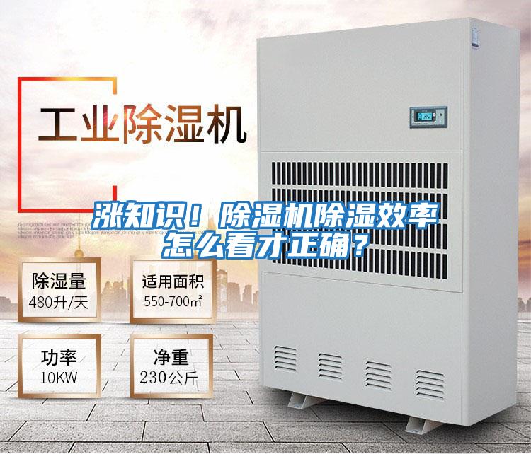 漲知識！除濕機除濕效率怎么看才正確？