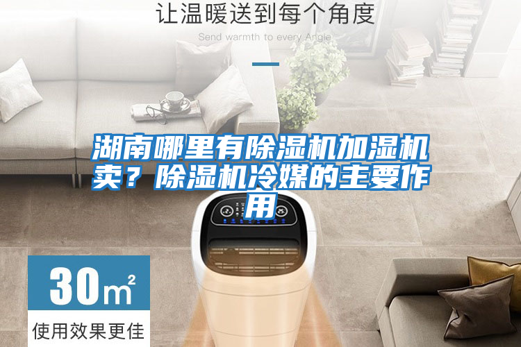 湖南哪里有除濕機加濕機賣?除濕機冷媒的主要作用