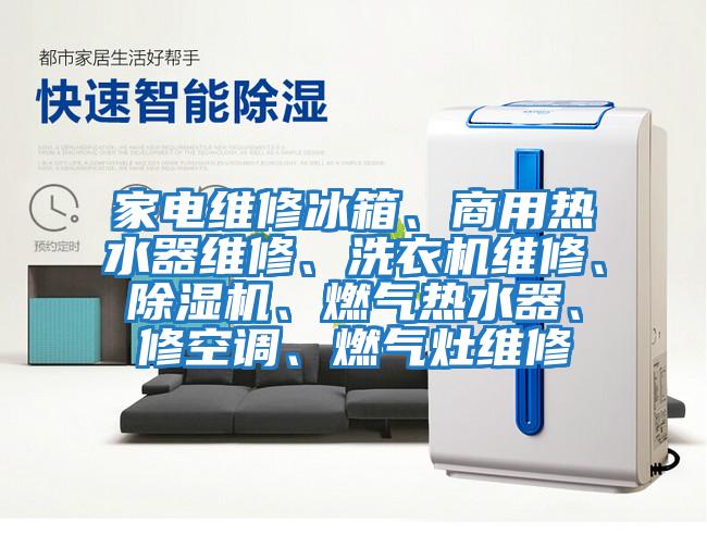 家電維修冰箱、商用熱水器維修、洗衣機維修、除濕機、燃氣熱水器、修空調、燃氣灶維修