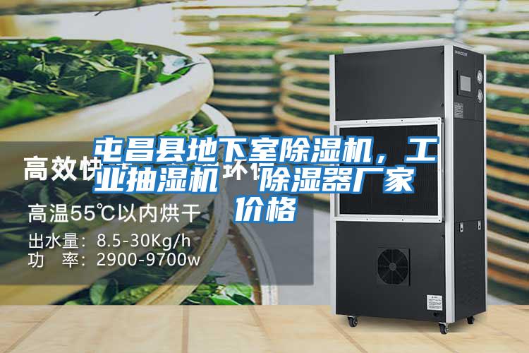 屯昌縣地下室除濕機，工業抽濕機  除濕器廠家 價格