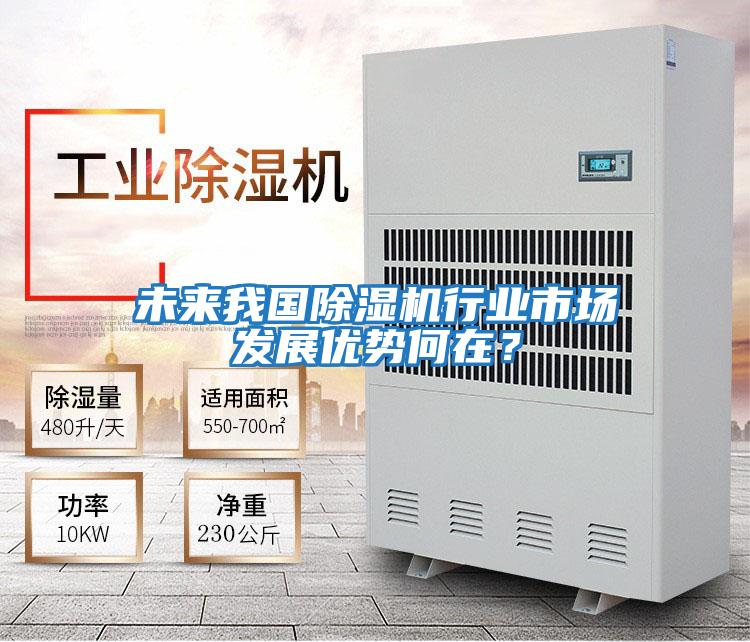 未來我國除濕機(jī)行業(yè)市場發(fā)展優(yōu)勢何在？
