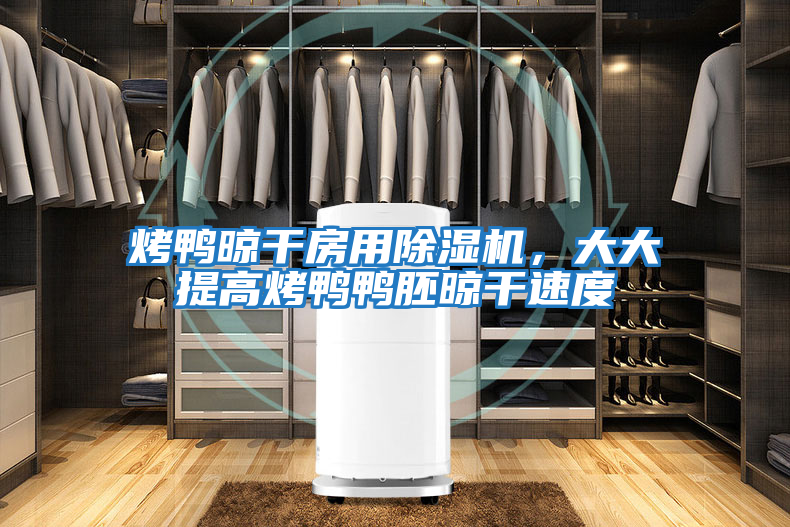 烤鴨晾干房用除濕機(jī)，大大提高烤鴨鴨胚晾干速度