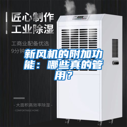 新風機的附加功能:哪些真的管用?