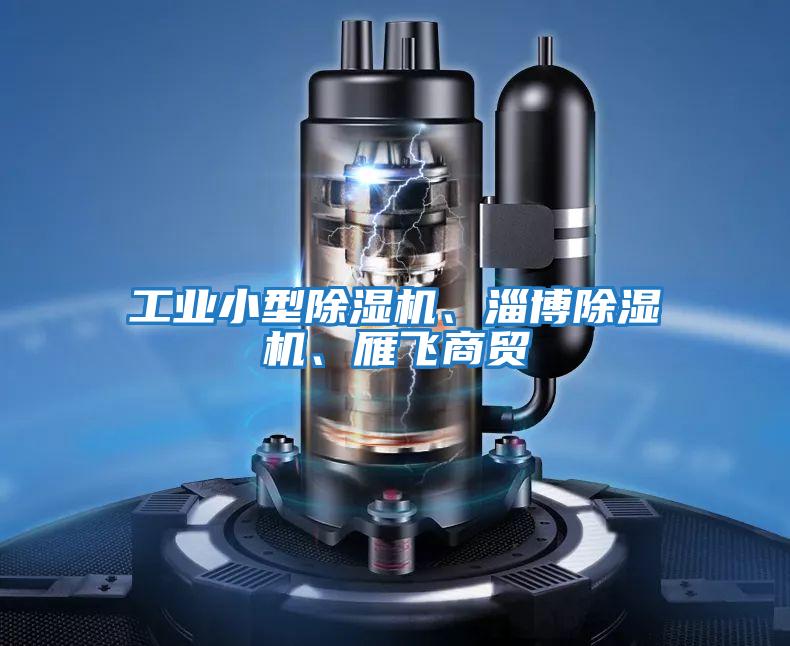工業小型除濕機、淄博除濕機、雁飛商貿