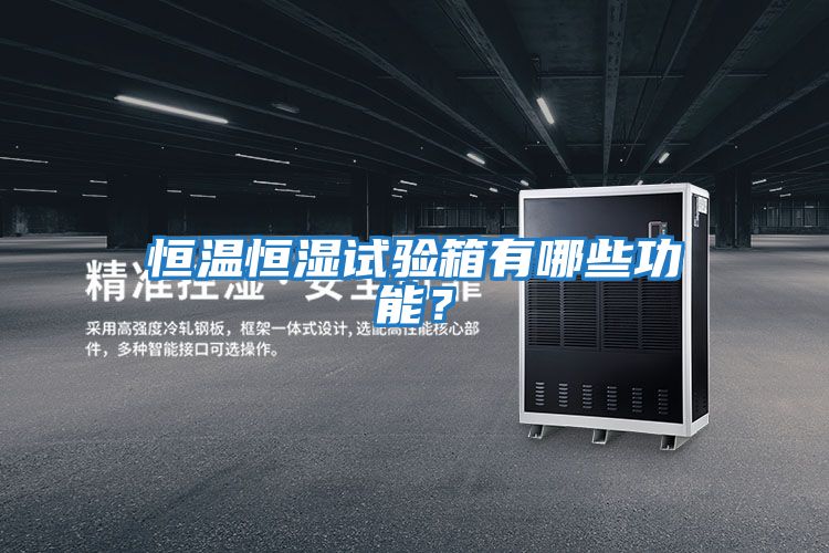恒溫恒濕試驗箱有哪些功能？