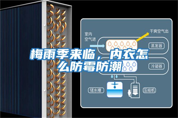 梅雨季來臨，內(nèi)衣怎么防霉防潮