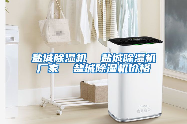 鹽城除濕機 鹽城除濕機廠家 鹽城除濕機價格