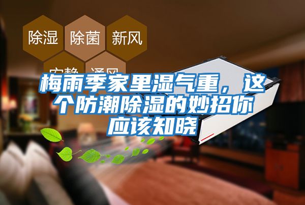 梅雨季家里濕氣重，這個防潮除濕的妙招你應(yīng)該知曉