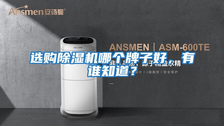 選購除濕機哪個牌子好，有誰知道？