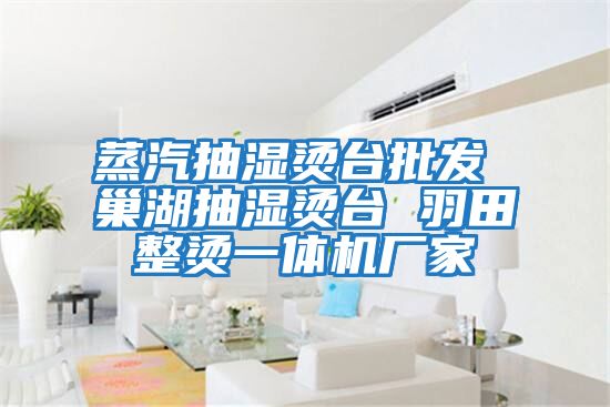 蒸汽抽濕燙臺批發 巢湖抽濕燙臺 羽田整燙一體機廠家