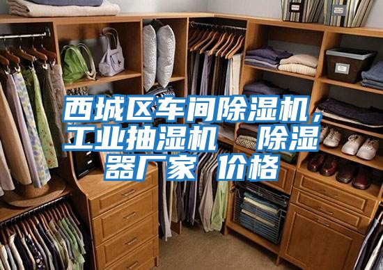 西城區(qū)車間除濕機(jī)，工業(yè)抽濕機(jī)  除濕器廠家 價(jià)格
