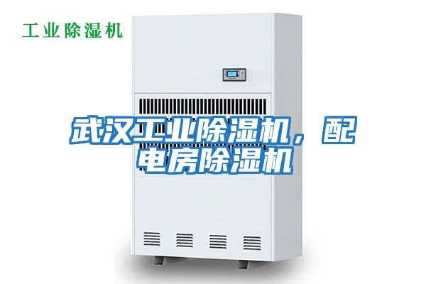 武漢工業(yè)除濕機(jī),配電房除濕機(jī)