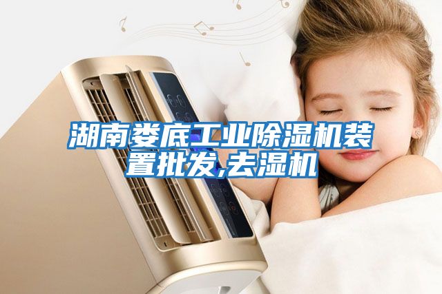 湖南婁底工業除濕機裝置批發,去濕機