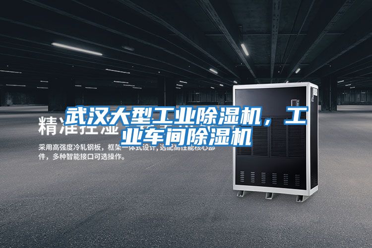 武漢大型工業除濕機，工業車間除濕機
