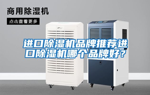 進口除濕機品牌推薦進口除濕機哪個品牌好？