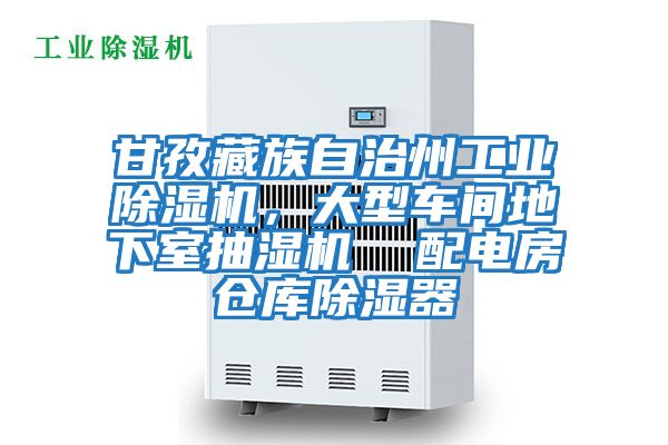 甘孜藏族自治州工業(yè)除濕機，大型車間地下室抽濕機  配電房倉庫除濕器