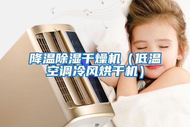 降溫除濕干燥機（低溫空調冷風烘干機）