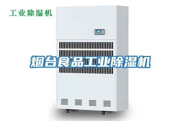 煙臺食品工業除濕機
