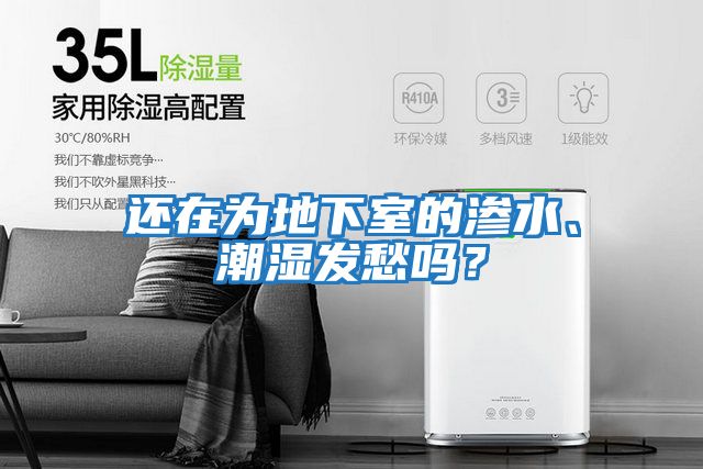 還在為地下室的滲水、潮濕發愁嗎？