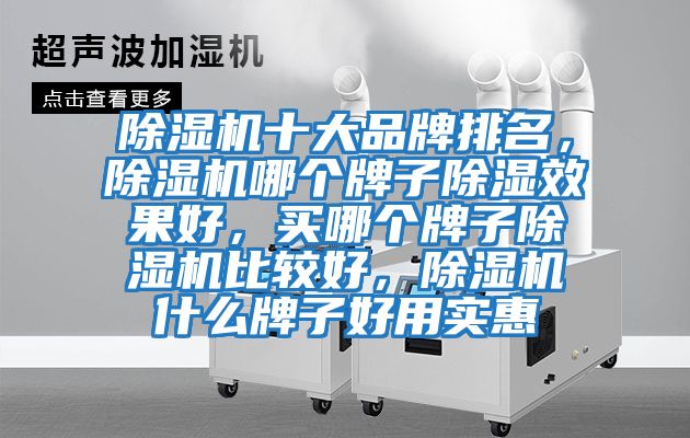 除濕機(jī)十大品牌排名，除濕機(jī)哪個(gè)牌子除濕效果好，買哪個(gè)牌子除濕機(jī)比較好，除濕機(jī)什么牌子好用實(shí)惠