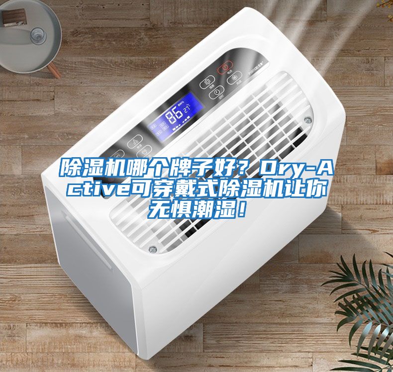 除濕機哪個牌子好？Dry-Active可穿戴式除濕機讓你無懼潮濕！