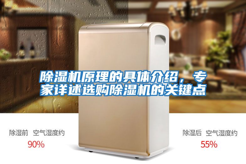 除濕機原理的具體介紹，專家詳述選購除濕機的關鍵點