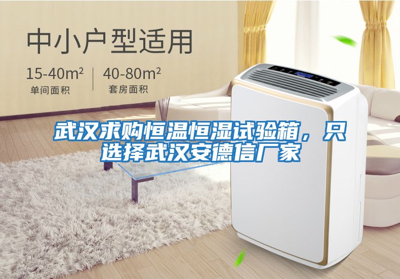 武漢求購(gòu)恒溫恒濕試驗(yàn)箱，只選擇武漢安德信廠家