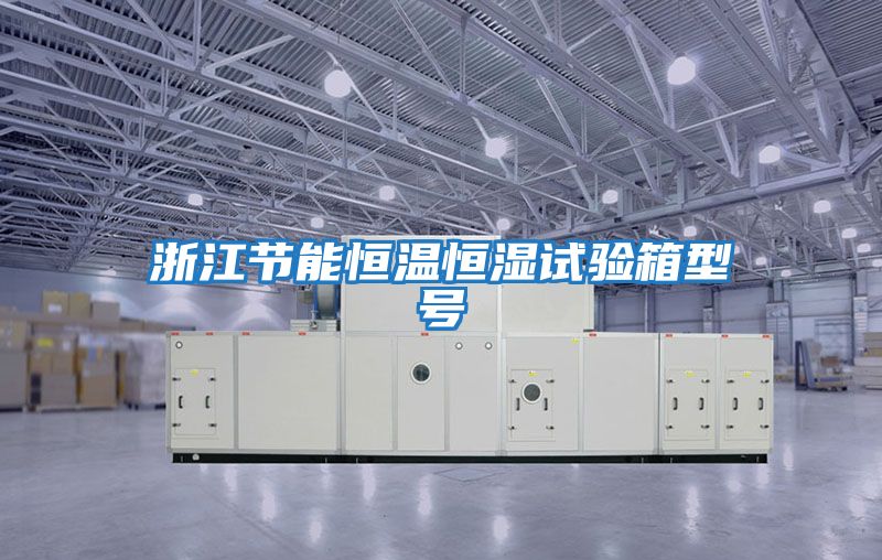 浙江節(jié)能恒溫恒濕試驗(yàn)箱型號