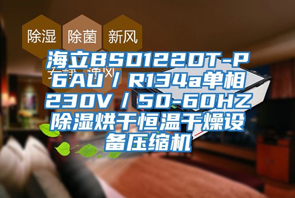 海立BSD122DT-P6AU/R134a單相230V/50-60HZ除濕烘干恒溫干燥設備壓縮機