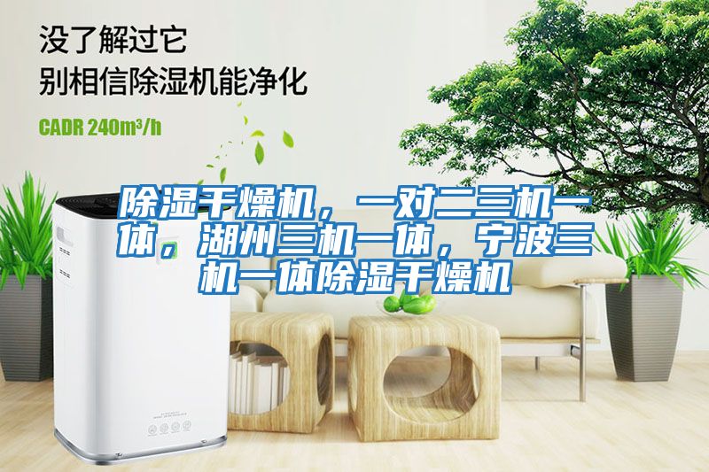 除濕干燥機，一對二三機一體，湖州三機一體，寧波三機一體除濕干燥機