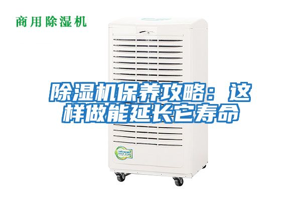 除濕機保養攻略：這樣做能延長它壽命