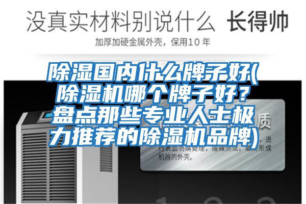 除濕國內什么牌子好(除濕機哪個牌子好？盤點那些專業人士極力推薦的除濕機品牌)