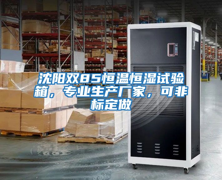 沈陽雙85恒溫恒濕試驗(yàn)箱，專業(yè)生產(chǎn)廠家，可非標(biāo)定做